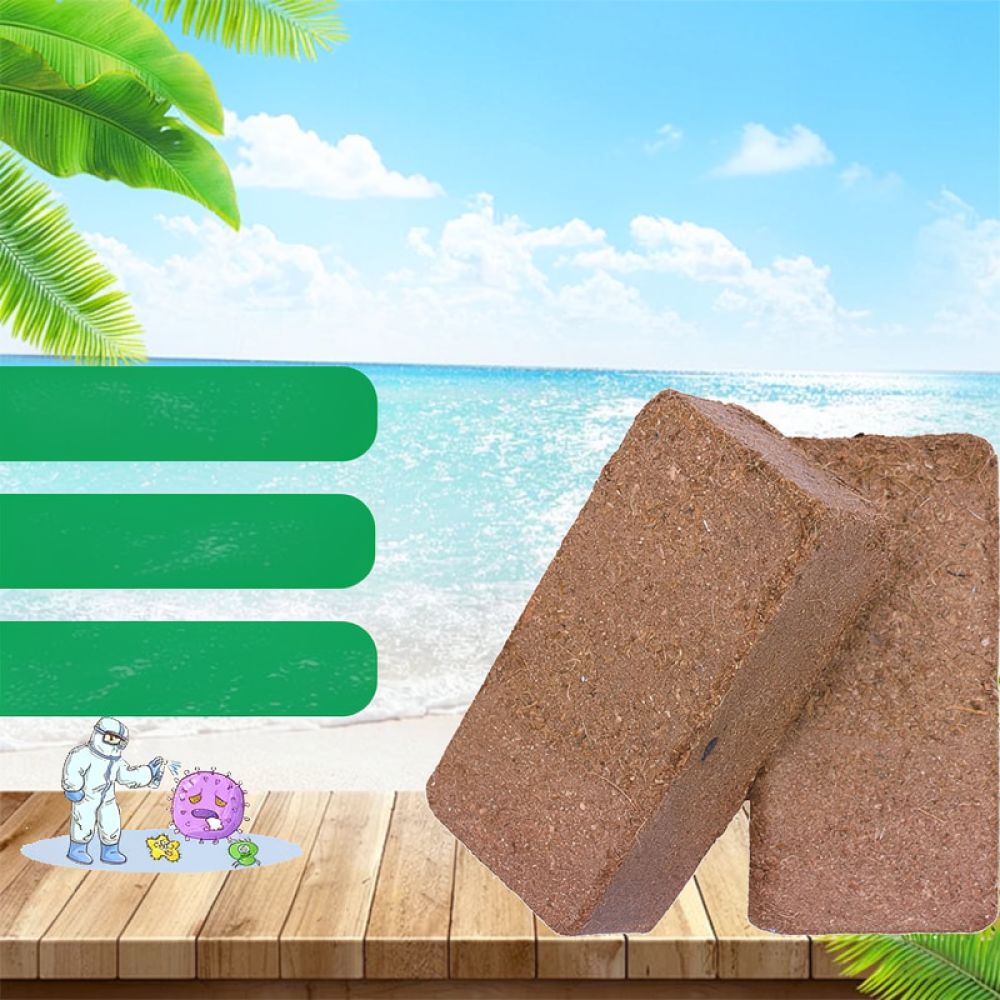 Substrate Coconut Fiber - تربة جوز الهند المجففة عالية الجودة